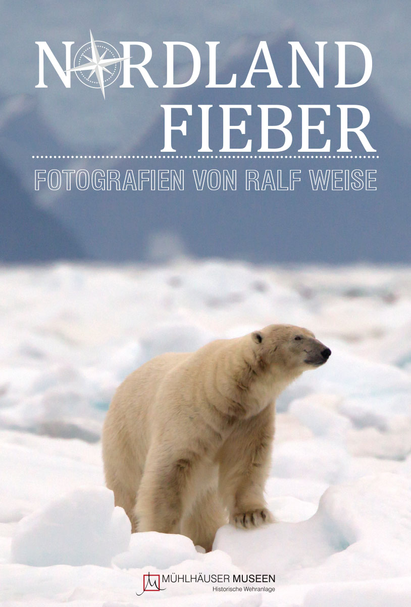 Platzhalter einer Ausstellung ohne Titelbild, roter Hintergrund